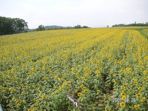 s_PICT0054.jpg